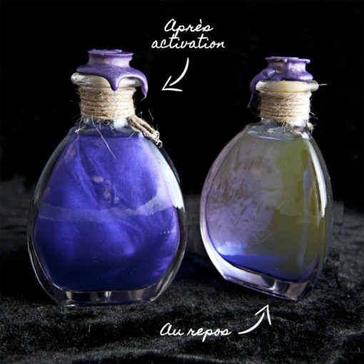 Elixir de fée - Violet - Patience